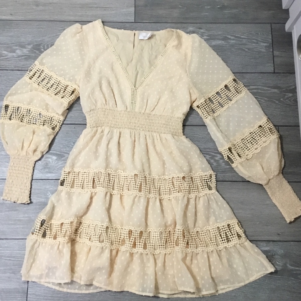 Champagne & Strawberry ANTHROPOLOGIE Long Sleeve Unconventional Lace Dress M